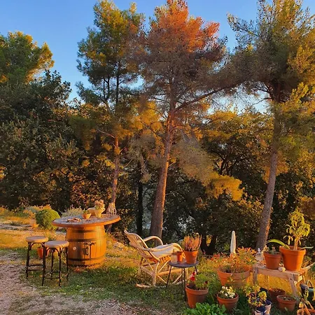 La Bergerie Pool And View 로퀴에브륀캡마르탱