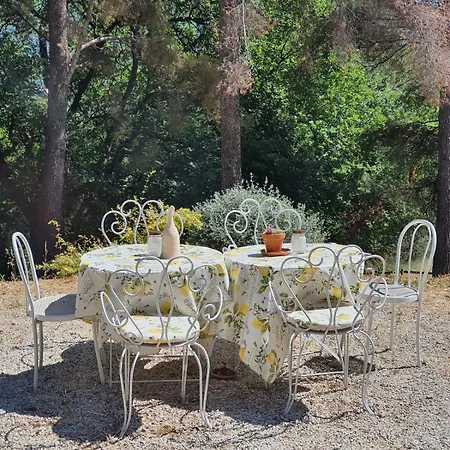 Villa La Bergerie Pool And View Roquebrune-Cap-Martin